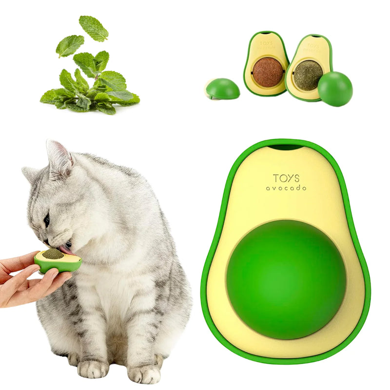 Abacate Catnip Para Gato, Erva Natural Relaxante C/ Adesivo para Parede