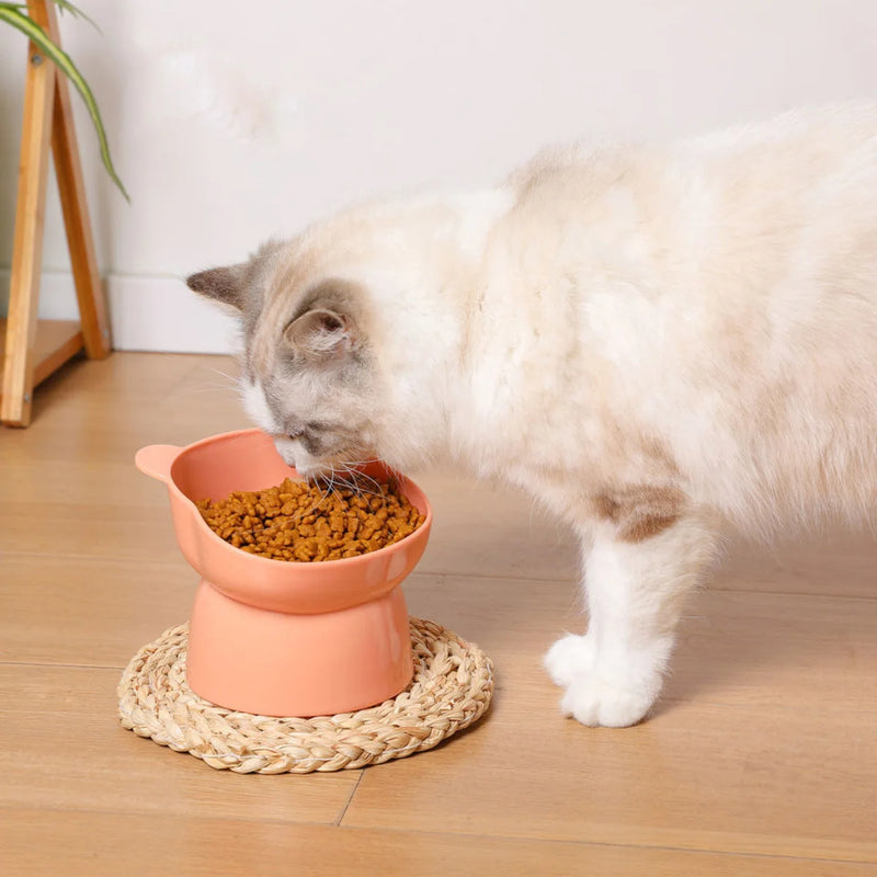 Comedouro Ursinho Pet Elevado Rosa Inclinado 1 Unidade P/ Cães e Gatos